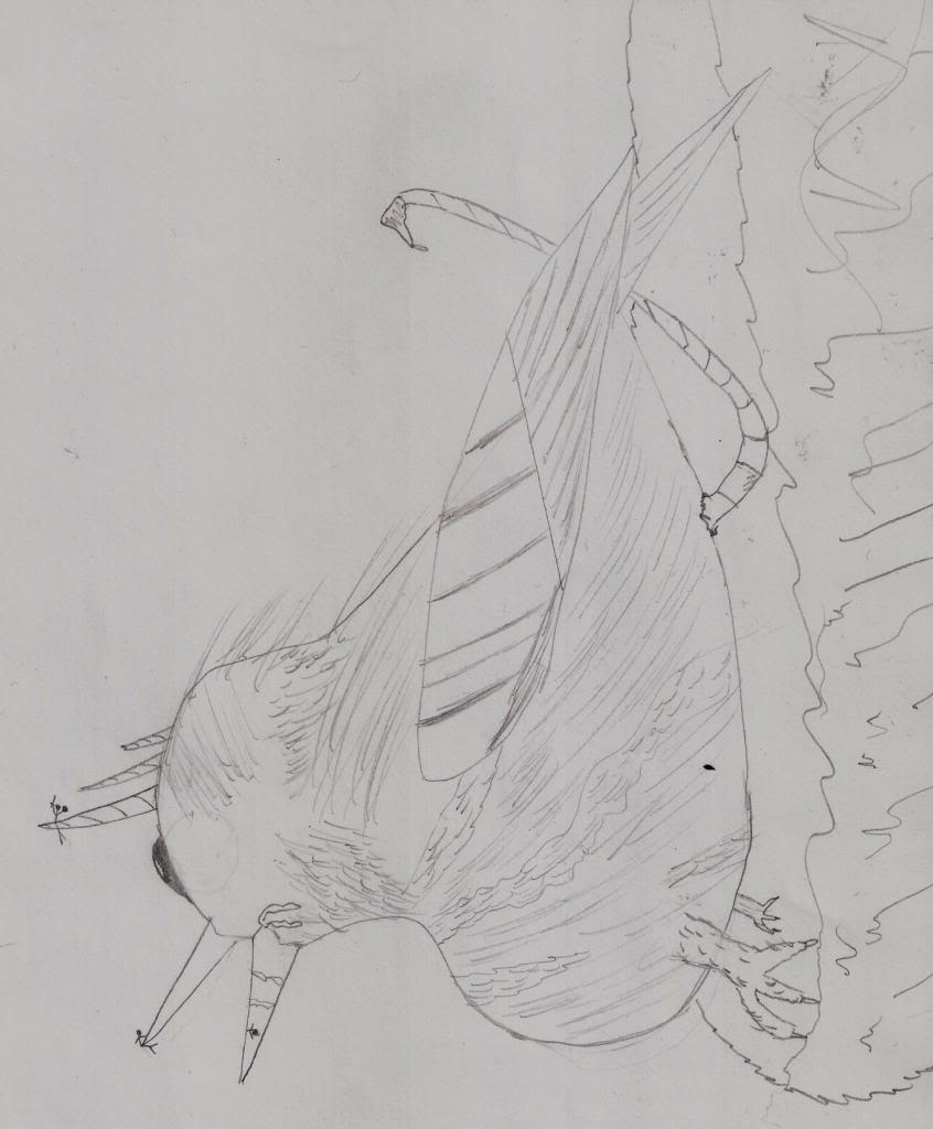 Ûstru Akusm Sodor by Gameboon