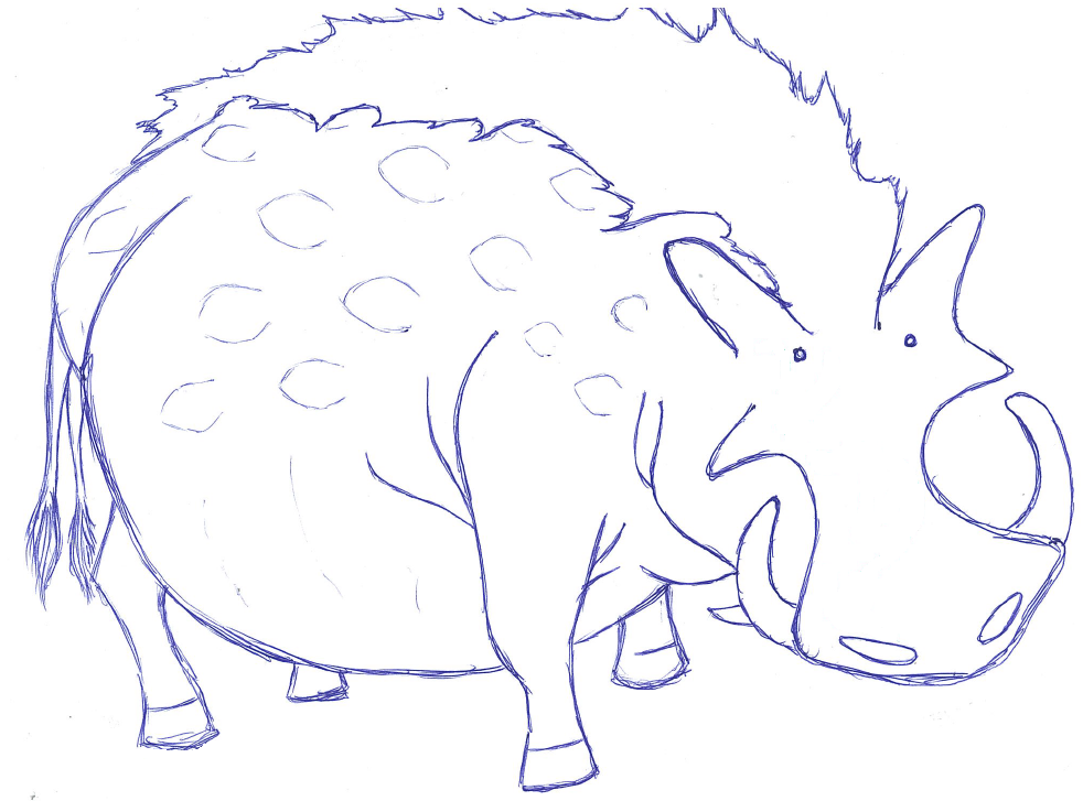 Bora Koru Thefin by DG