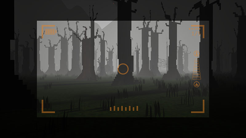 Looking through a camera viewfinder at a spooky forest. Some of the trees look a little strange.